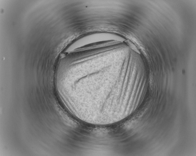 X0000088830445200707051426