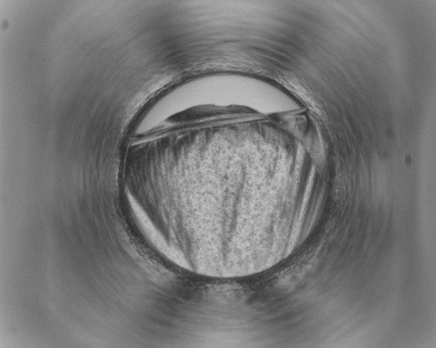 X0000088830446200707051426