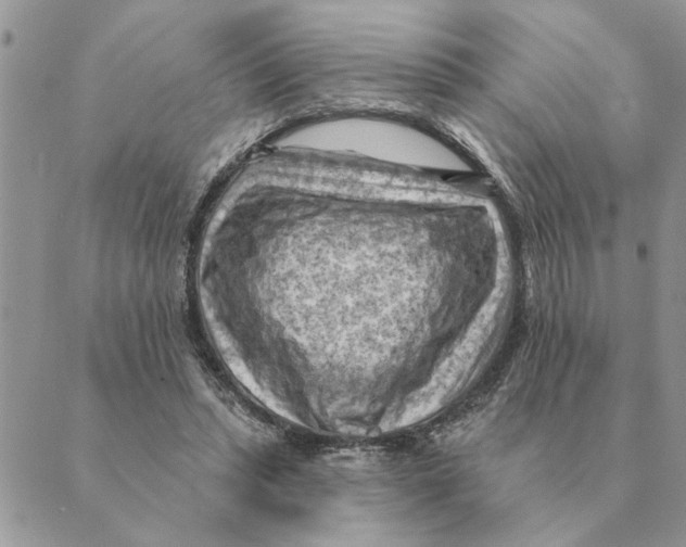 X0000088830447200707051426