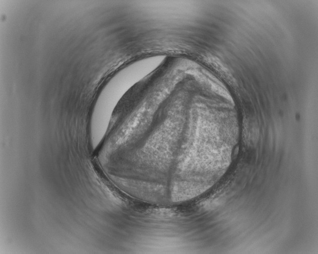 X0000088830449200707051426