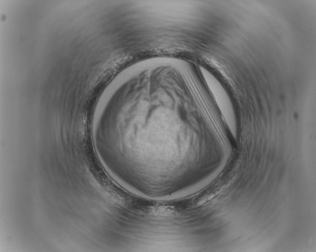 X0000088830451200707051426