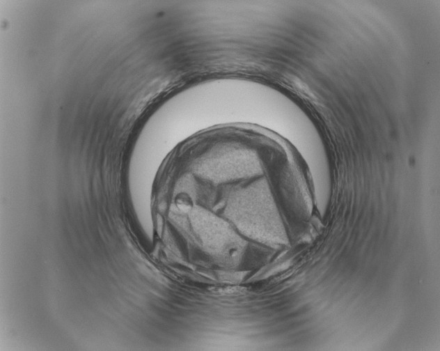 X0000088830452200707051426