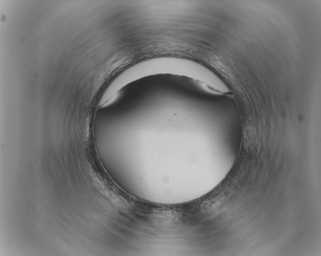 X0000088830454200707051426