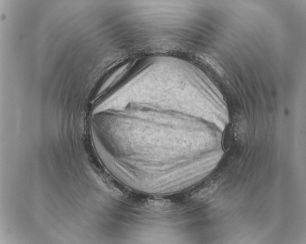 X0000088830455200707051426