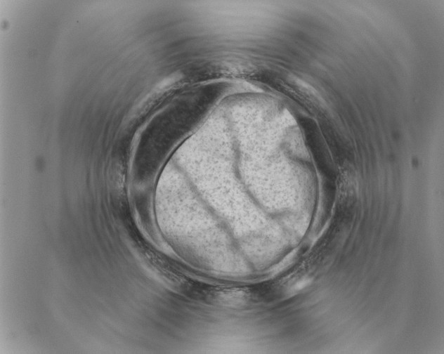 X0000088830456200707051426