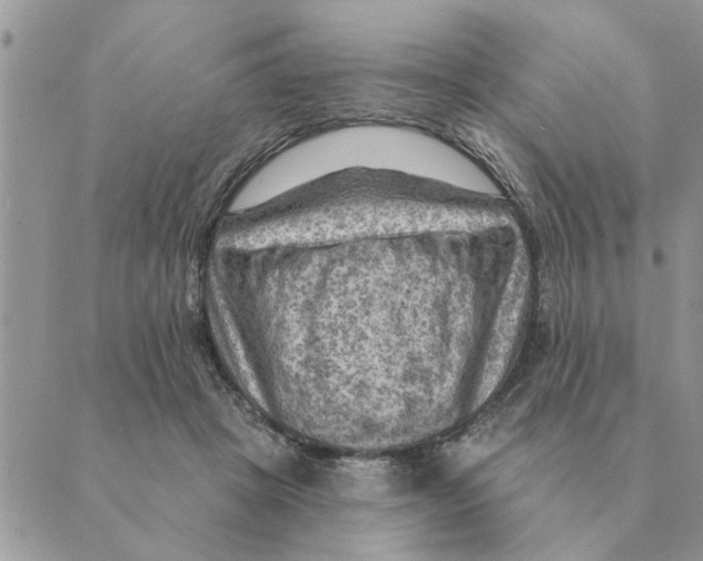 X0000088830457200707051426