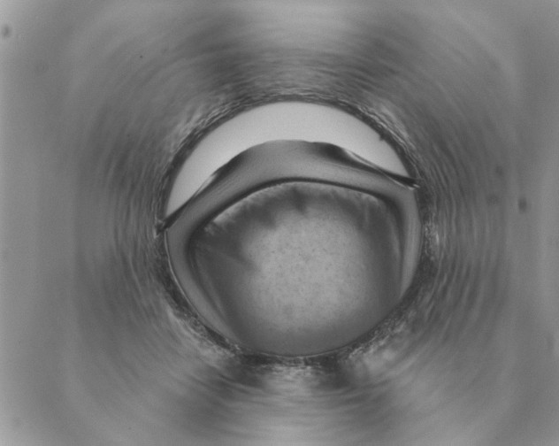 X0000088830458200707051426