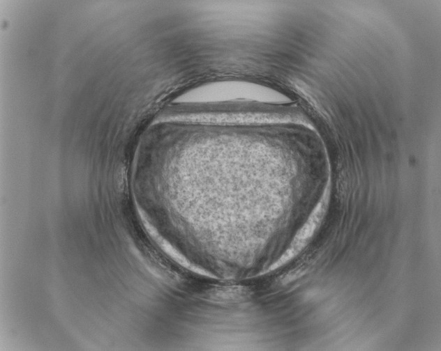 X0000088830459200707051426