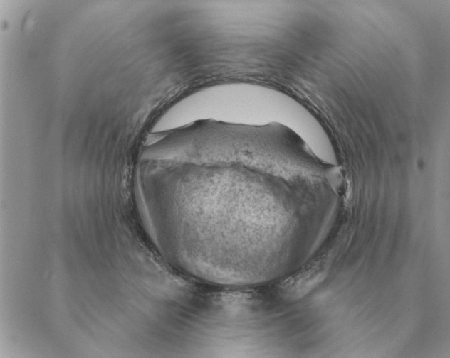 X0000088830462200707051426