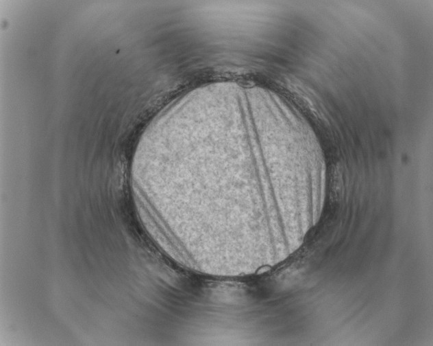 X0000088830463200707051426