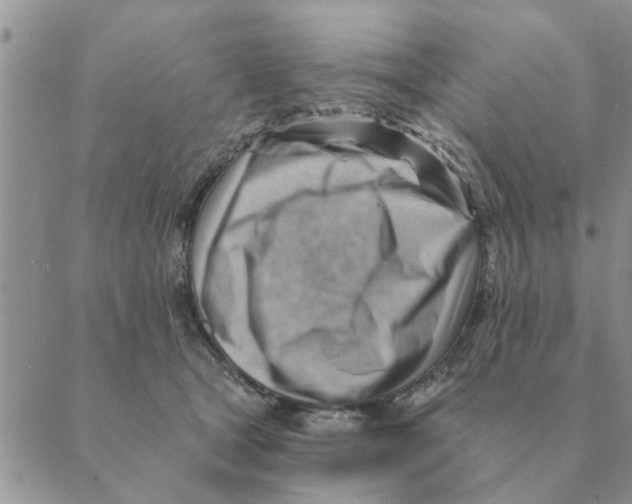 X0000088830465200707051426