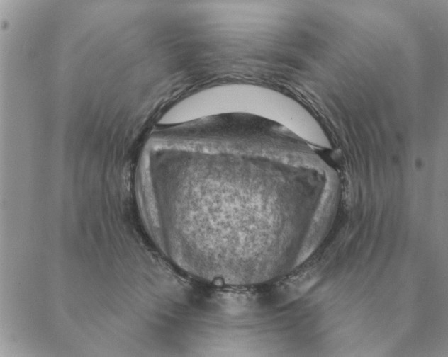 X0000088830466200707051426