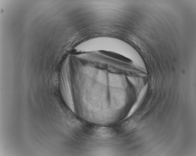 X0000088830467200707051426