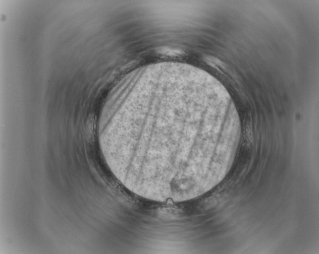 X0000088830468200707051426