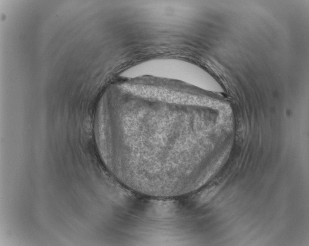 X0000088830469200707051426