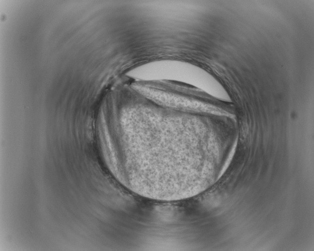 X0000088830470200707051426