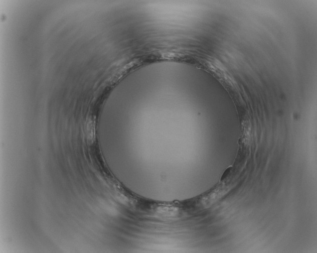 X0000088830471200707051426