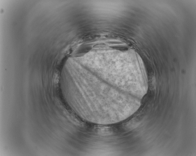 X0000088830472200707051426