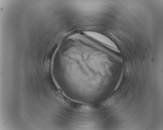 X0000088830475200707051426