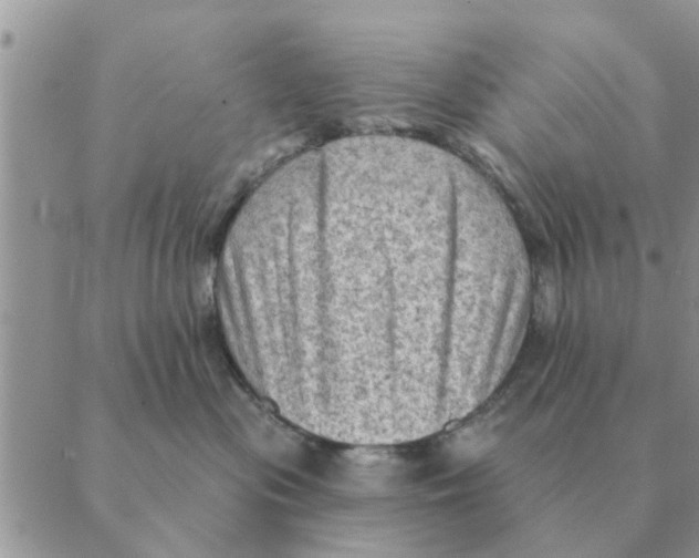 X0000088830477200707051427