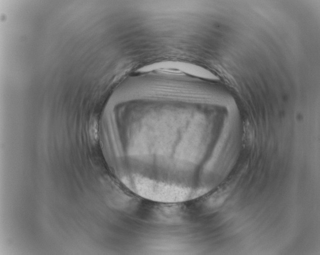 X0000088830479200707051427