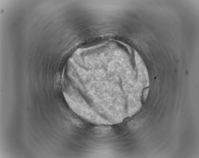 X0000088830480200707051427