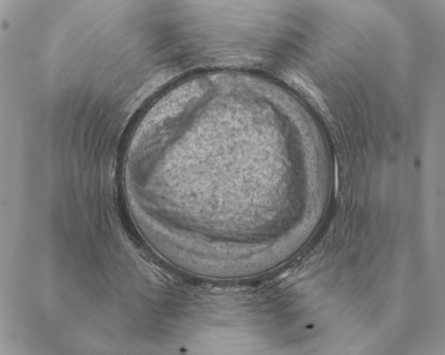 X0000088830483200707051426