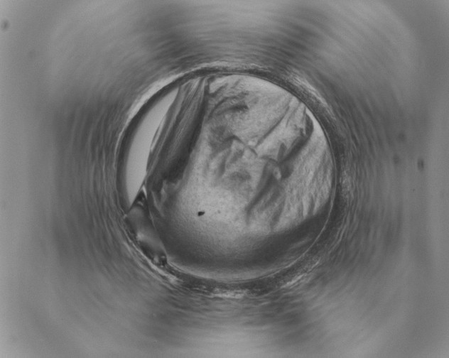 X0000088830484200707051426