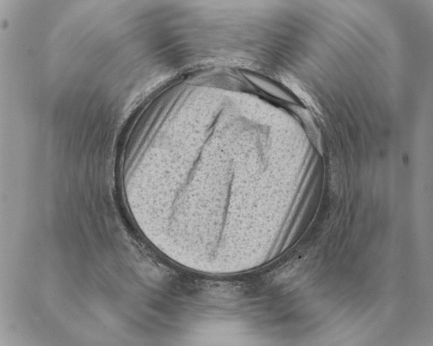 X0000088830486200707051426