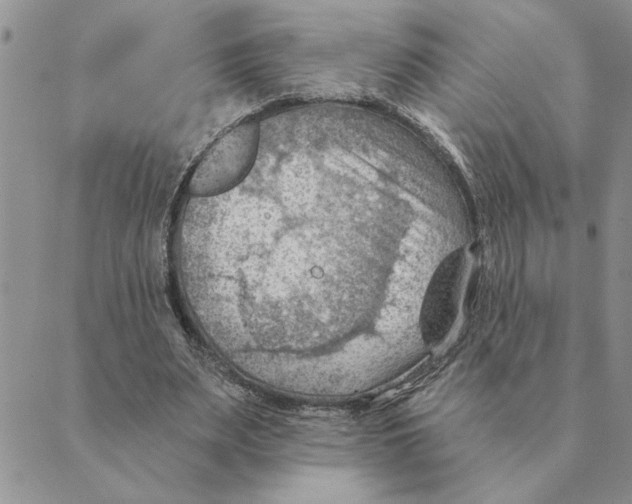 X0000088830487200707051426