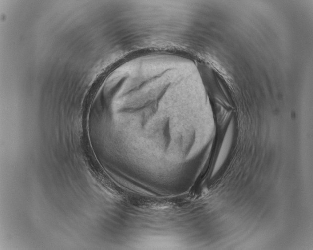 X0000088830488200707051426