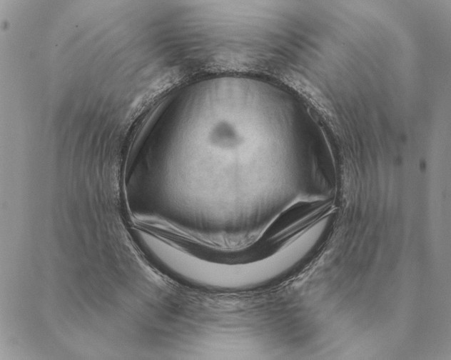 X0000088830489200707051426