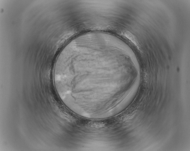 X0000088830491200707051426