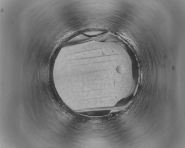 X0000088830492200707051426