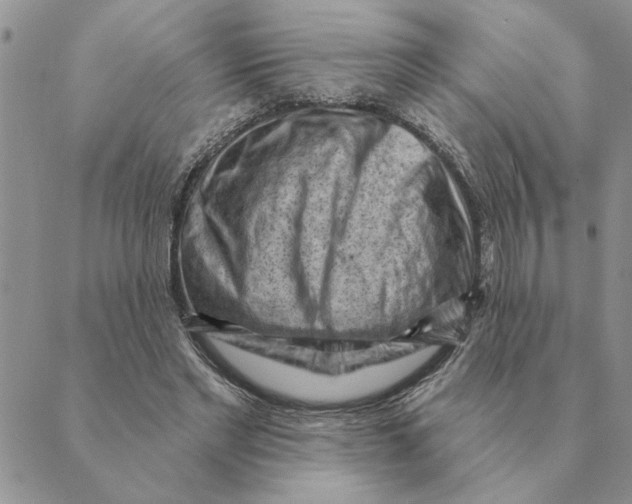 X0000088830493200707051426