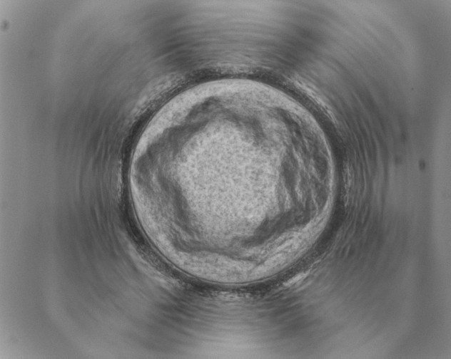 X0000088830494200707051426