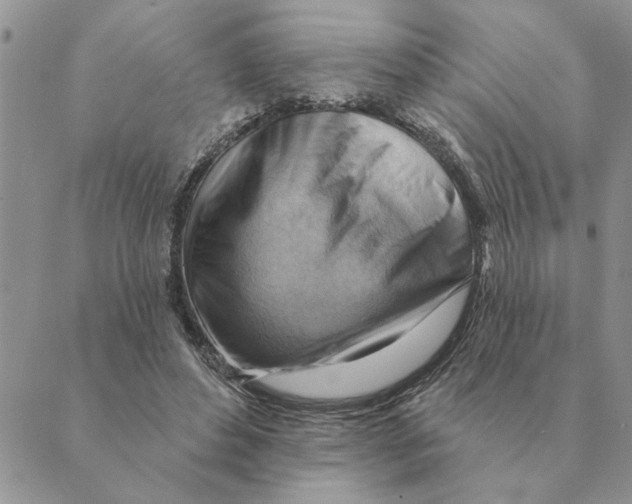 X0000088830496200707051426