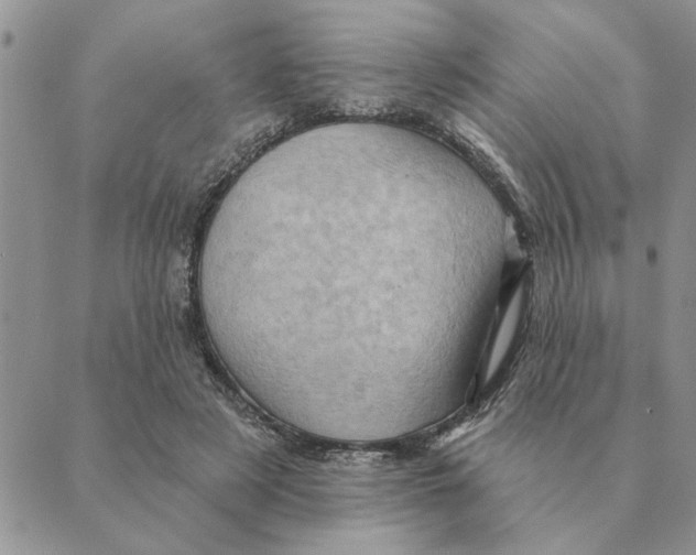 X0000088830497200707051426