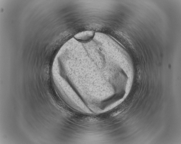 X0000088830498200707051426