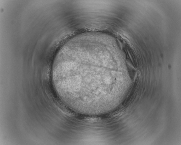 X0000088830499200707051425