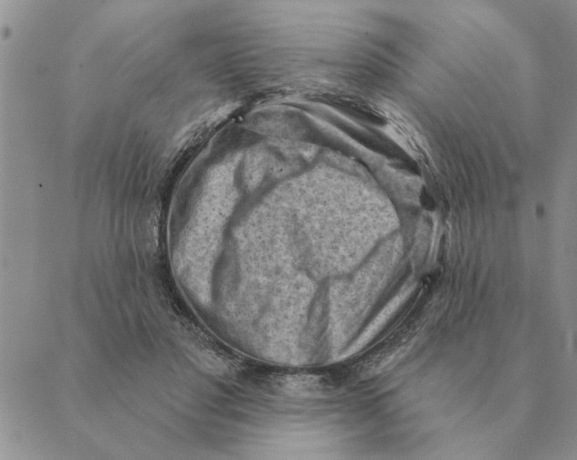 X0000088830501200707051425