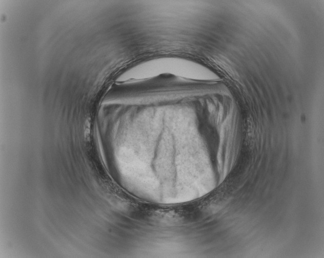 X0000088830502200707051425