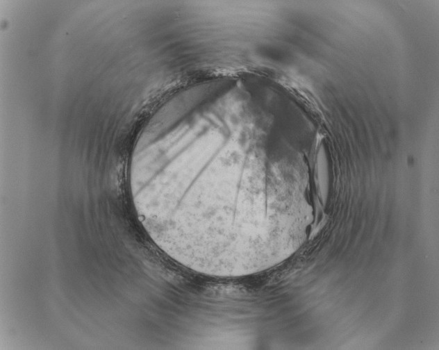 X0000088830503200707051425