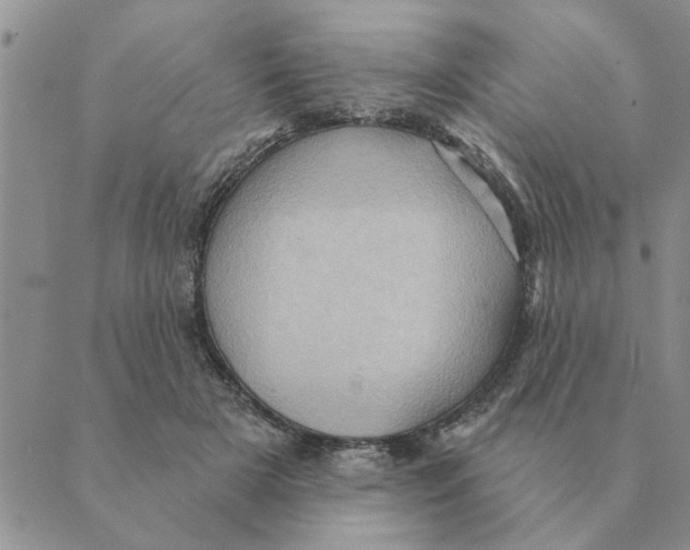 X0000088830505200707051425