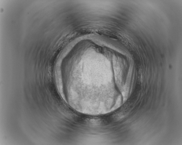 X0000088830506200707051425