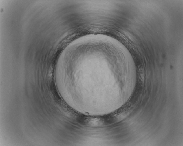 X0000088830507200707051425