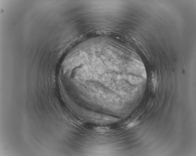 X0000088830508200707051425