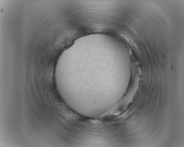 X0000088830509200707051425