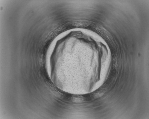 X0000088830510200707051425