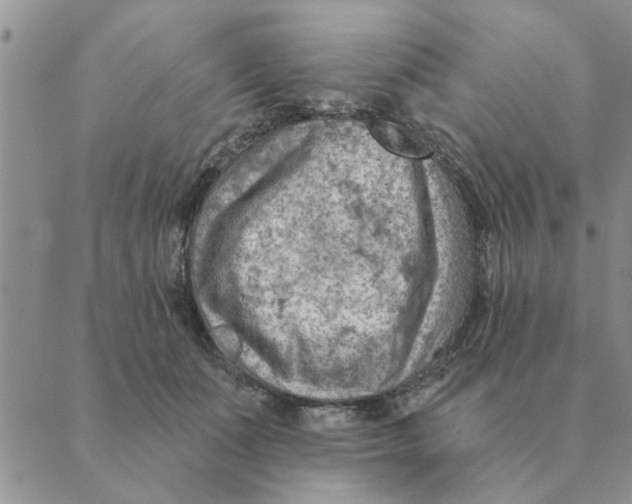 X0000088830511200707051425